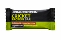 Choco Crunch Cricket